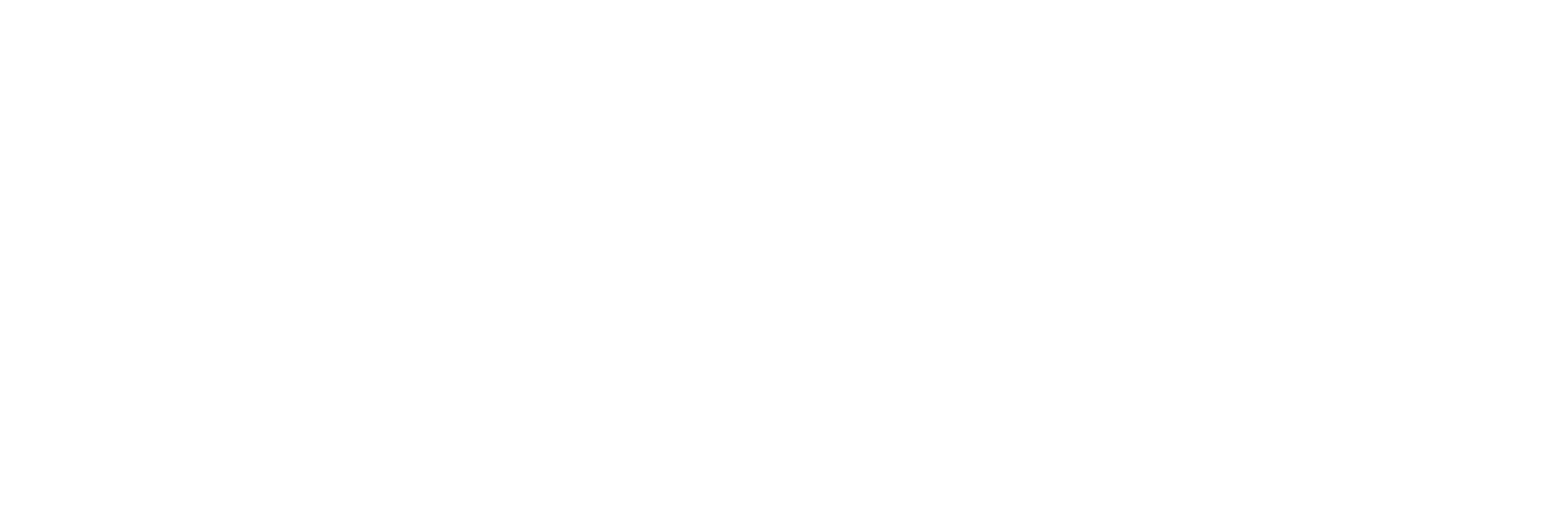Elli Mac Logo
